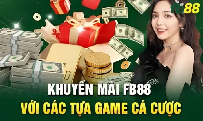Tuân thủ điều kiện của BK8 khi tham gia khuyến mãi